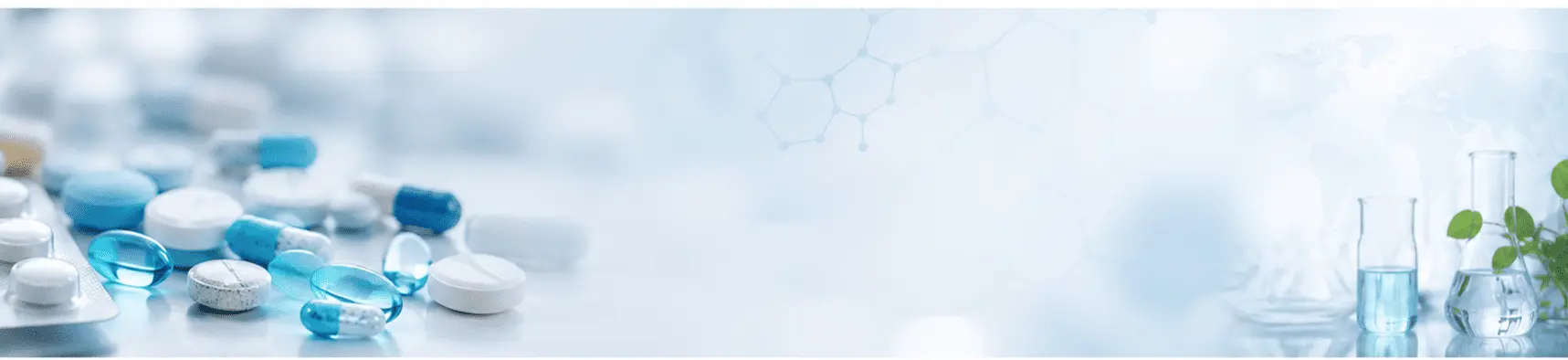 Newsletter Banner